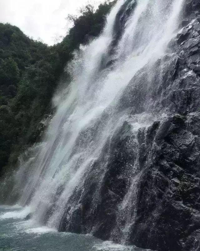 探索无限可能,尽在丁香和郁金香是同一种花吗?问答交流平台!